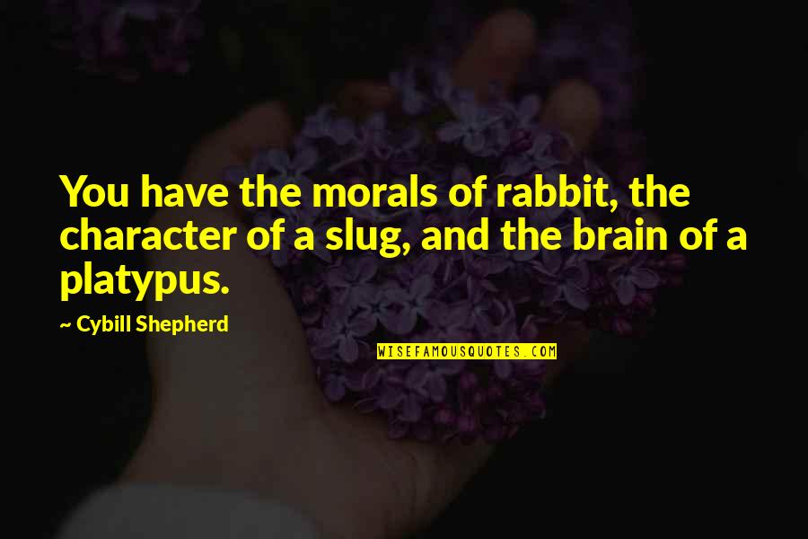 Seclorum Defined Quotes By Cybill Shepherd: You have the morals of rabbit, the character