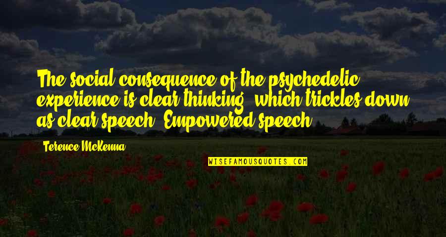Seco Quotes By Terence McKenna: The social consequence of the psychedelic experience is