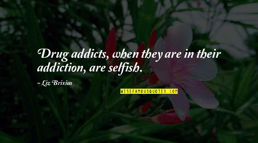 Second Place Loser Quotes By Liz Brixius: Drug addicts, when they are in their addiction,