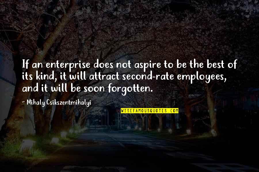 Second Rate Quotes By Mihaly Csikszentmihalyi: If an enterprise does not aspire to be Second Rate Quotes By Mihaly Csikszentmihalyi: If an enterprise does not aspire to be