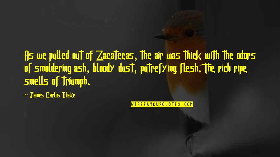 Second The Beach Quotes By James Carlos Blake: As we pulled out of Zacatecas, the air Second The Beach Quotes By James Carlos Blake: As we pulled out of Zacatecas, the air