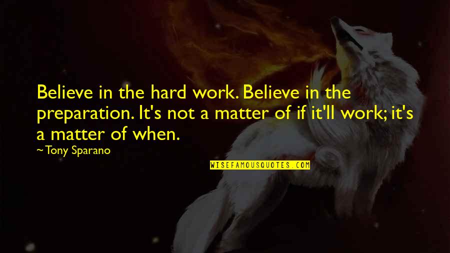 Second Time You Fall In Love Quotes By Tony Sparano: Believe in the hard work. Believe in the
