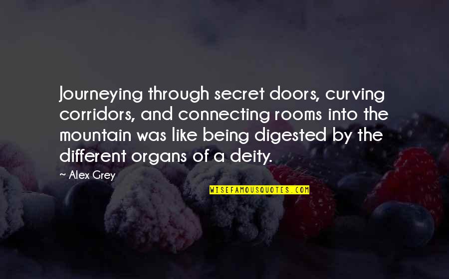 Secret Doors Quotes By Alex Grey: Journeying through secret doors, curving corridors, and connecting