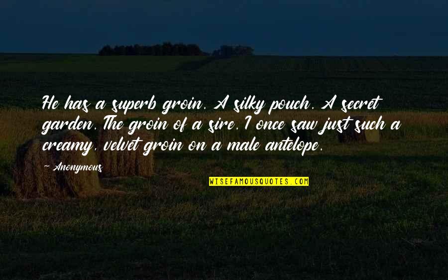 Secret Garden Quotes By Anonymous: He has a superb groin. A silky pouch. Secret Garden Quotes By Anonymous: He has a superb groin. A silky pouch.