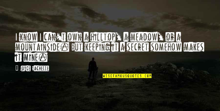 Secret Keeping Quotes By Joyce Rachelle: I know I can't own a hilltop, a