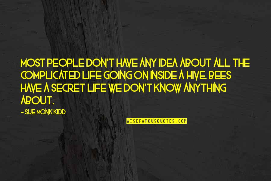 Secret Life Of Bees Quotes By Sue Monk Kidd: Most people don't have any idea about all