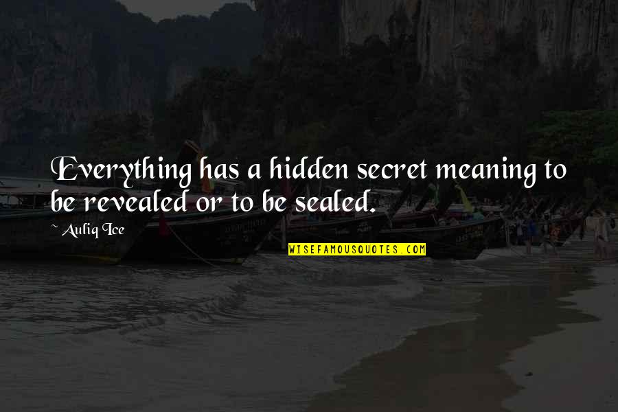 Secret Meaning Quotes By Auliq Ice: Everything has a hidden secret meaning to be