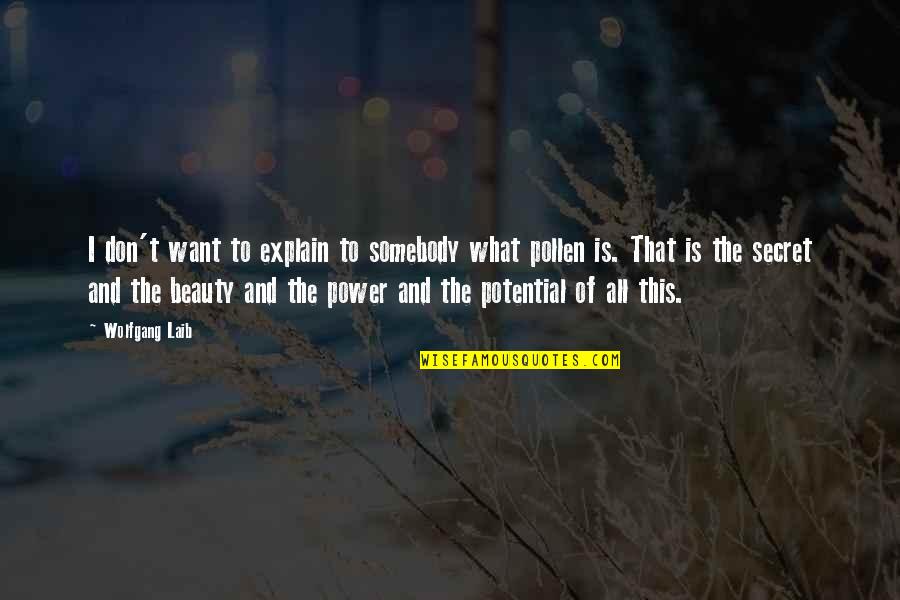 Secret Of Power Quotes By Wolfgang Laib: I don't want to explain to somebody what Secret Of Power Quotes By Wolfgang Laib: I don't want to explain to somebody what