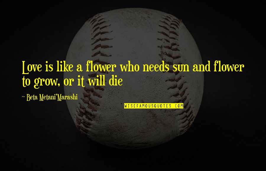 Secret Pal Quotes By Beta Metani'Marashi: Love is like a flower who needs sun Secret Pal Quotes By Beta Metani'Marashi: Love is like a flower who needs sun