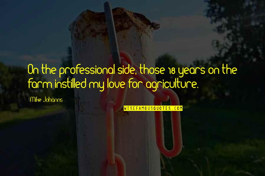 Secretly Cares Quotes By Mike Johanns: On the professional side, those 18 years on Secretly Cares Quotes By Mike Johanns: On the professional side, those 18 years on