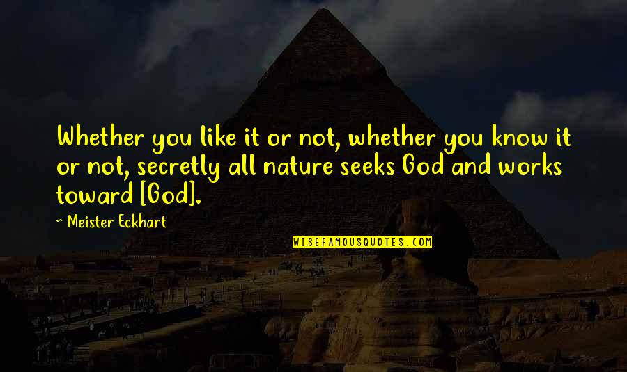 Secretly Like You Quotes By Meister Eckhart: Whether you like it or not, whether you Secretly Like You Quotes By Meister Eckhart: Whether you like it or not, whether you