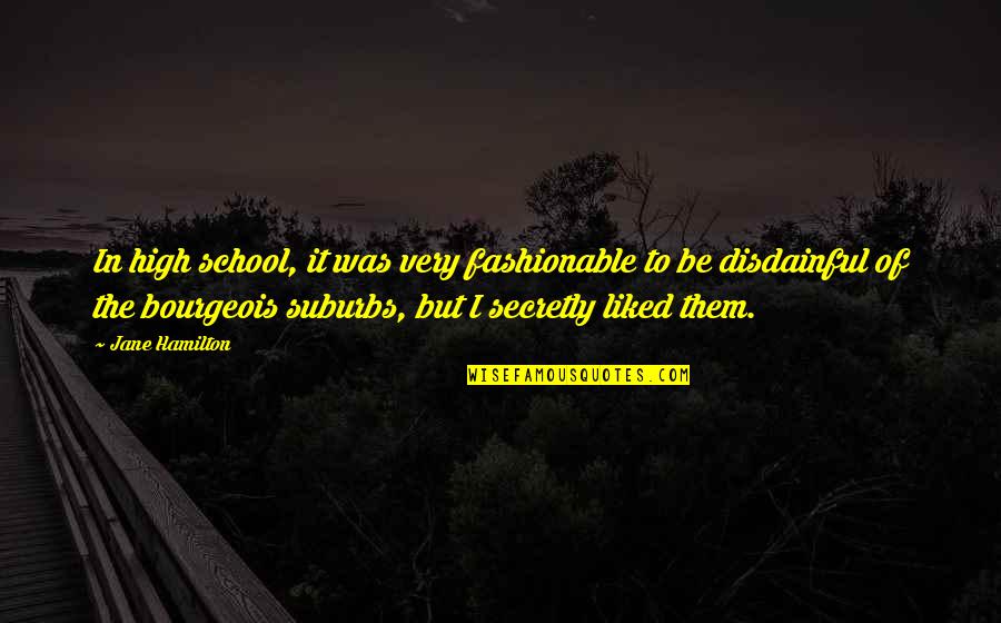 Secretly Quotes By Jane Hamilton: In high school, it was very fashionable to