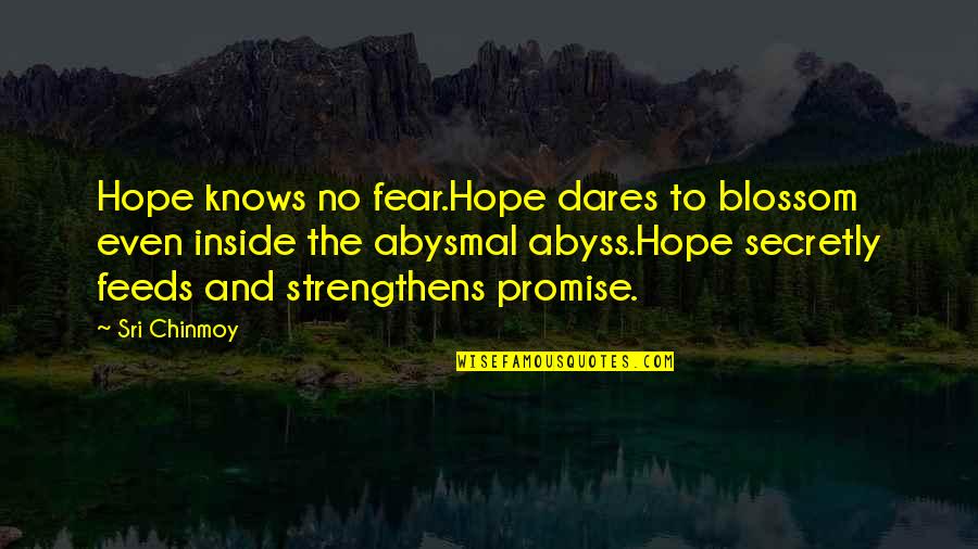 Secretly Quotes By Sri Chinmoy: Hope knows no fear.Hope dares to blossom even