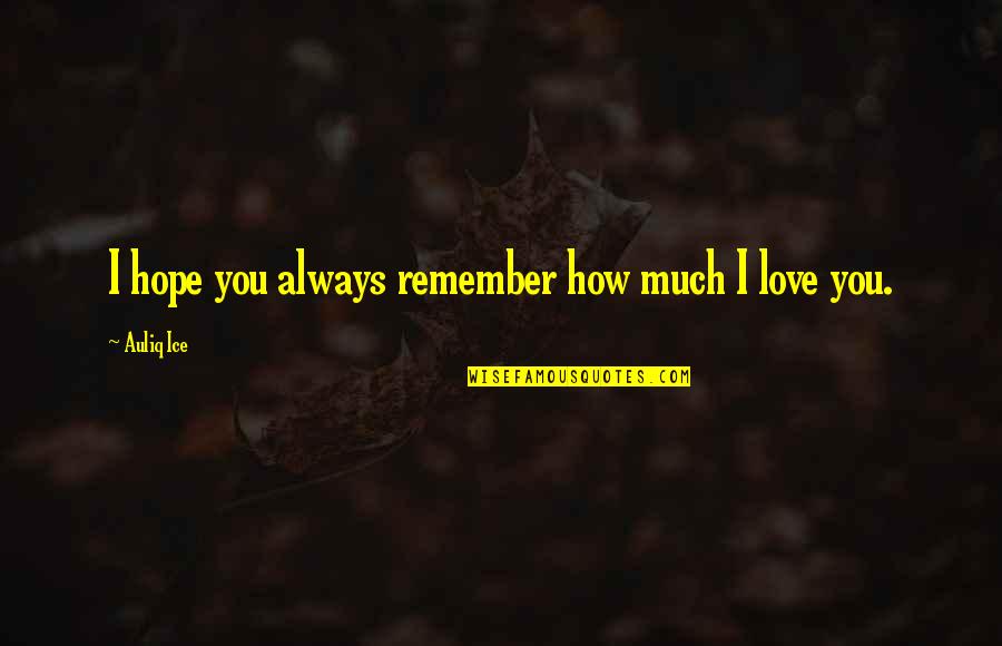 Secretof Quotes By Auliq Ice: I hope you always remember how much I