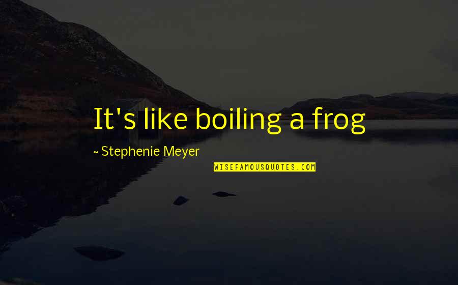 Secrets Being Bad Quotes By Stephenie Meyer: It's like boiling a frog