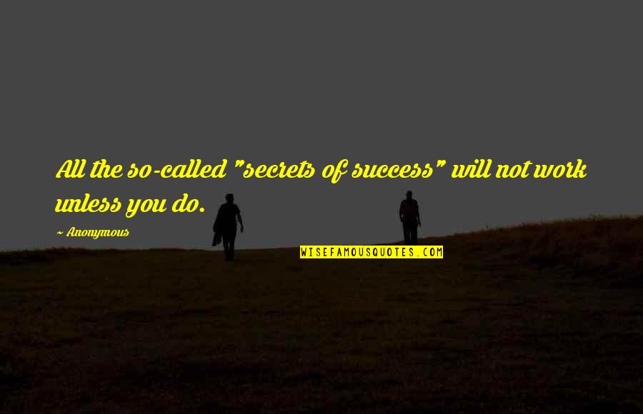 Secrets To Success Quotes By Anonymous: All the so-called "secrets of success" will not