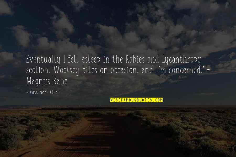 Section Quotes By Cassandra Clare: Eventually I fell asleep in the Rabies and