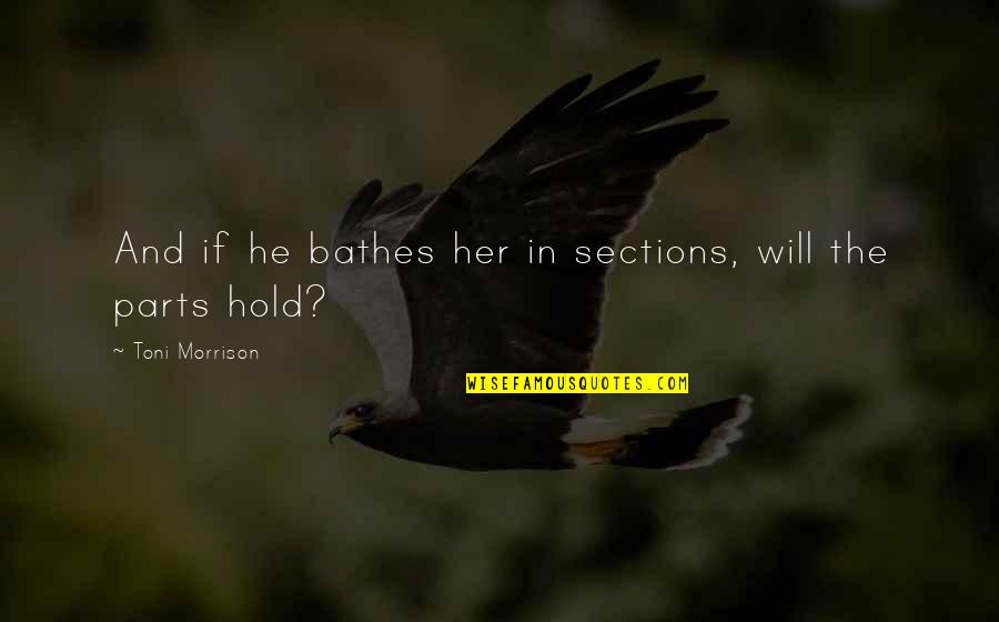 Sections Quotes By Toni Morrison: And if he bathes her in sections, will
