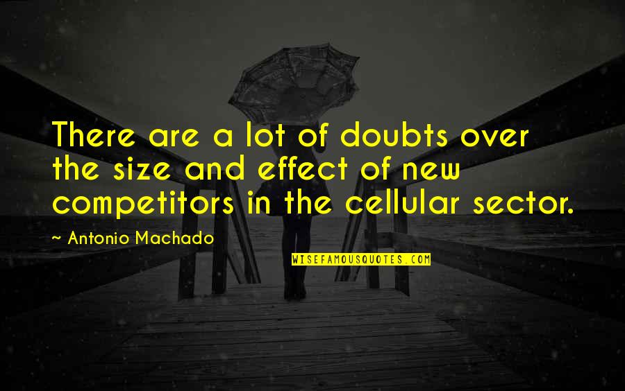 Sector Quotes By Antonio Machado: There are a lot of doubts over the