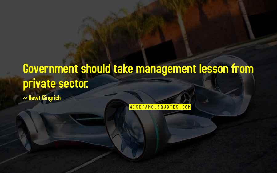 Sector Quotes By Newt Gingrich: Government should take management lesson from private sector.