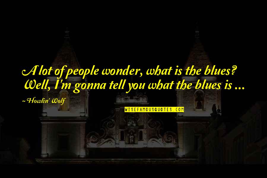 Sector Terciario Quotes By Howlin' Wolf: A lot of people wonder, what is the