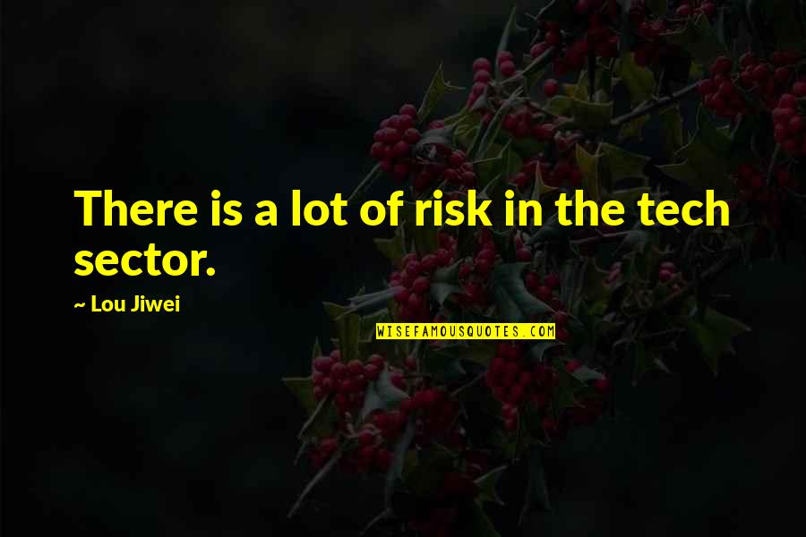 Sector's Quotes By Lou Jiwei: There is a lot of risk in the