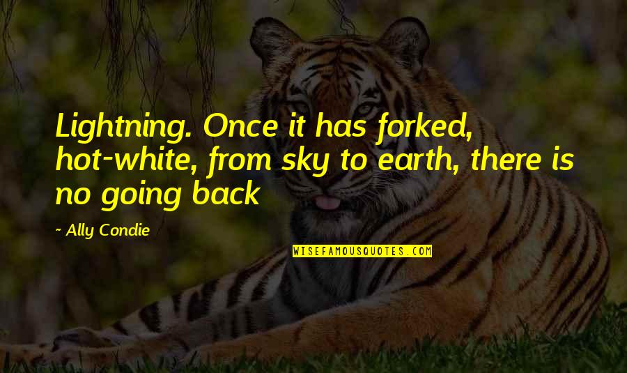 Secure Girl Quotes By Ally Condie: Lightning. Once it has forked, hot-white, from sky