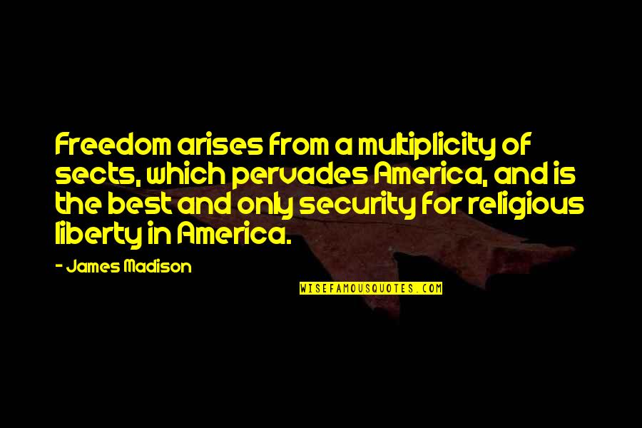 Security And Freedom Quotes By James Madison: Freedom arises from a multiplicity of sects, which