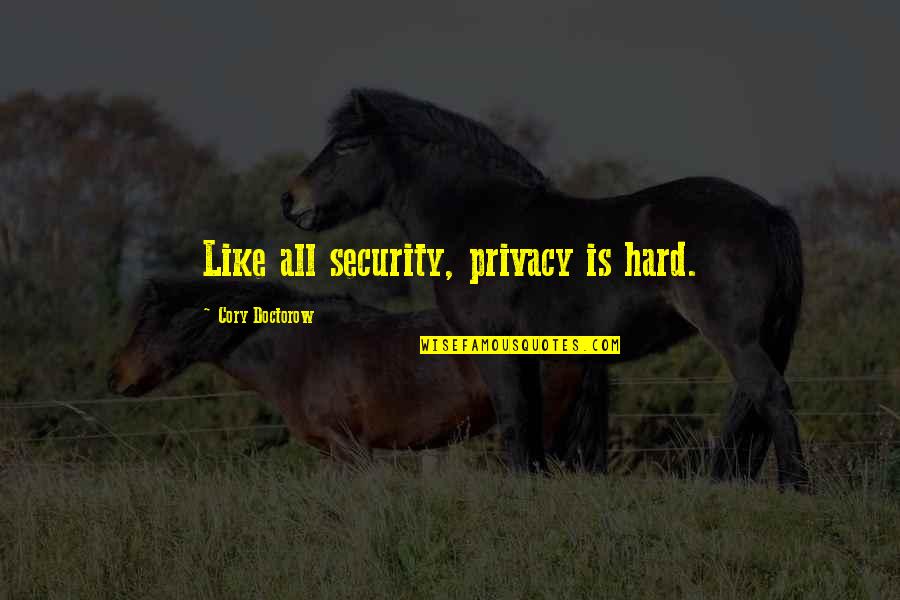 Security And Privacy Quotes By Cory Doctorow: Like all security, privacy is hard.