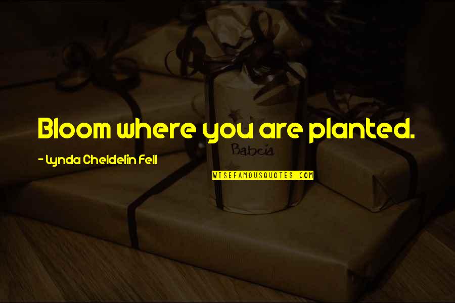 Security Company Quotes By Lynda Cheldelin Fell: Bloom where you are planted.