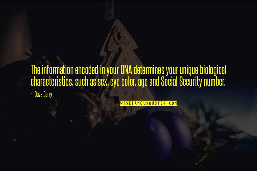 Security Information Quotes By Dave Barry: The information encoded in your DNA determines your