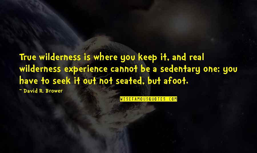 Sedentary Quotes By David R. Brower: True wilderness is where you keep it, and