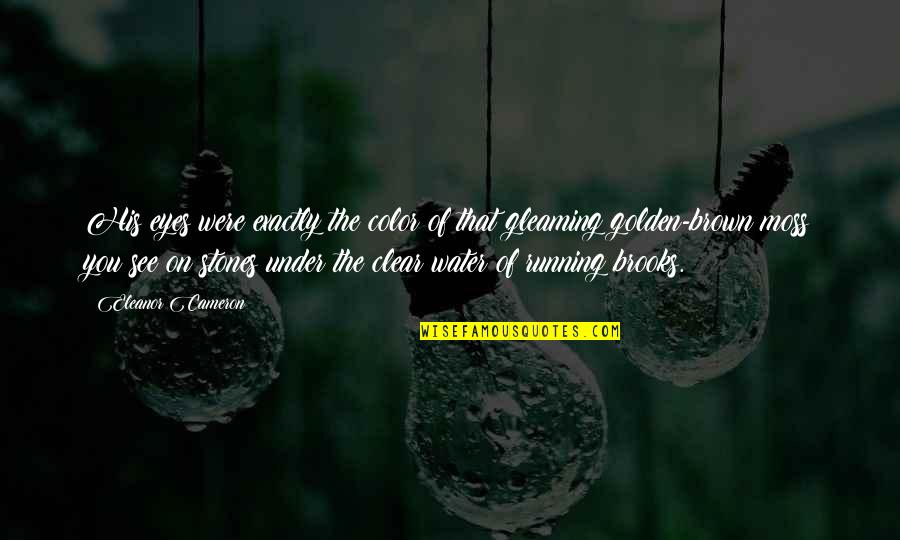 See Clear Quotes By Eleanor Cameron: His eyes were exactly the color of that