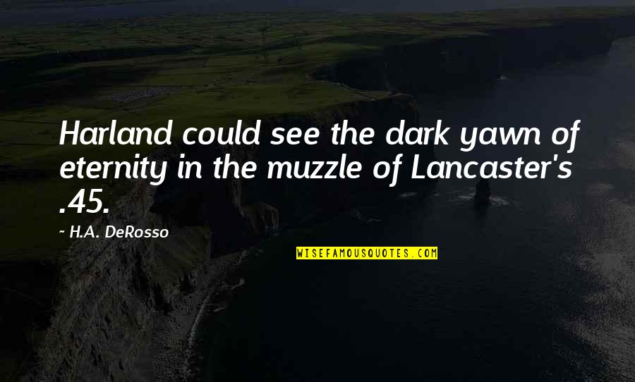 See In The Dark Quotes By H.A. DeRosso: Harland could see the dark yawn of eternity