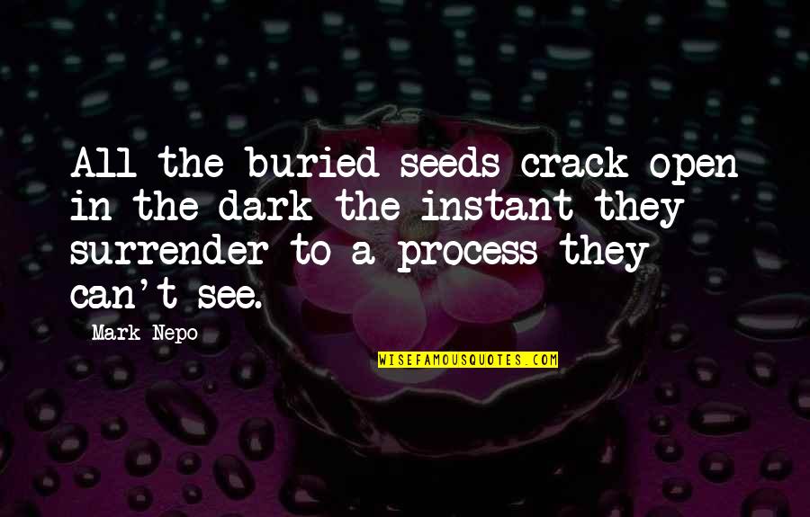 See In The Dark Quotes By Mark Nepo: All the buried seeds crack open in the