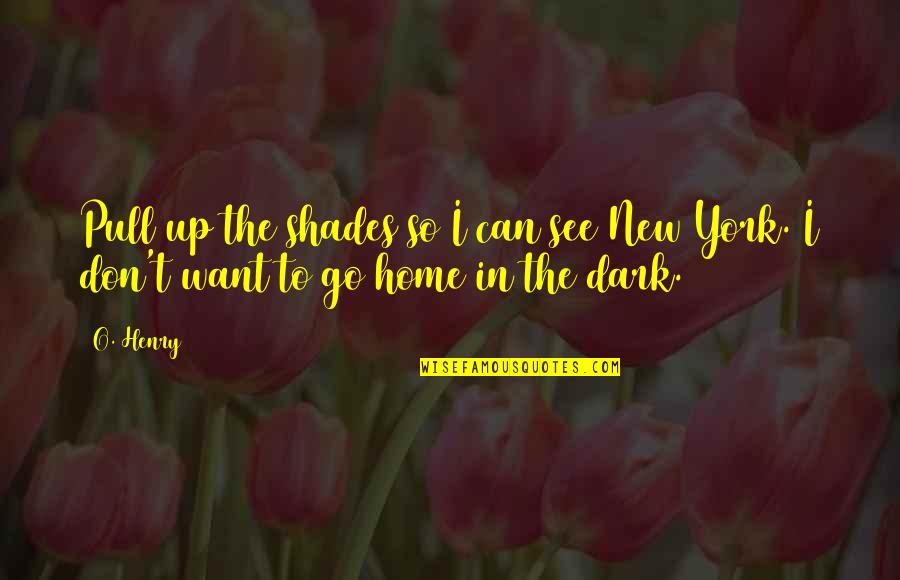 See In The Dark Quotes By O. Henry: Pull up the shades so I can see