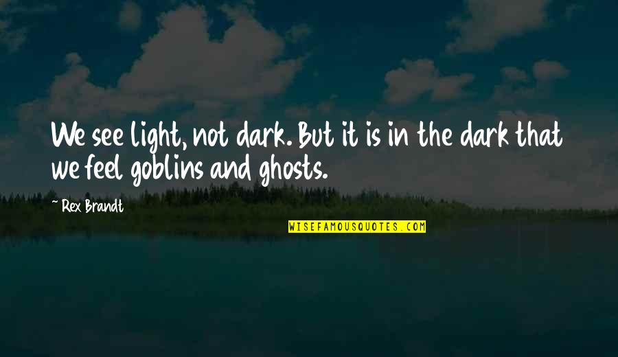 See In The Dark Quotes By Rex Brandt: We see light, not dark. But it is