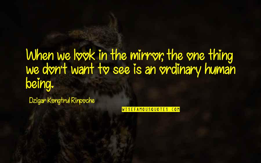 See In The Mirror Quotes By Dzigar Kongtrul Rinpoche: When we look in the mirror, the one
