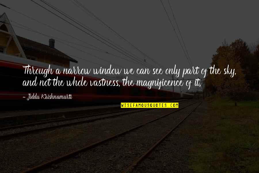 See It Through Quotes By Jiddu Krishnamurti: Through a narrow window we can see only