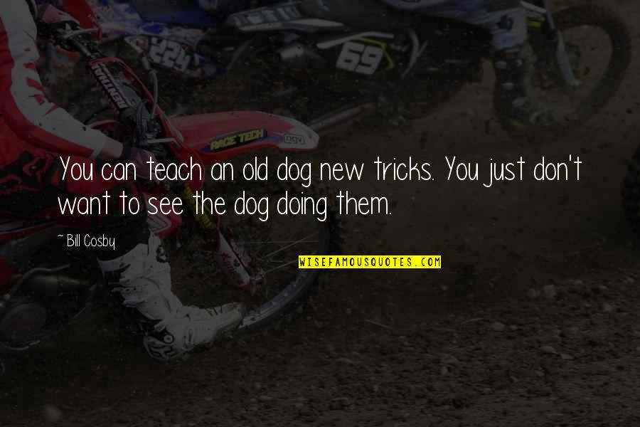 See My Dog Quotes By Bill Cosby: You can teach an old dog new tricks.