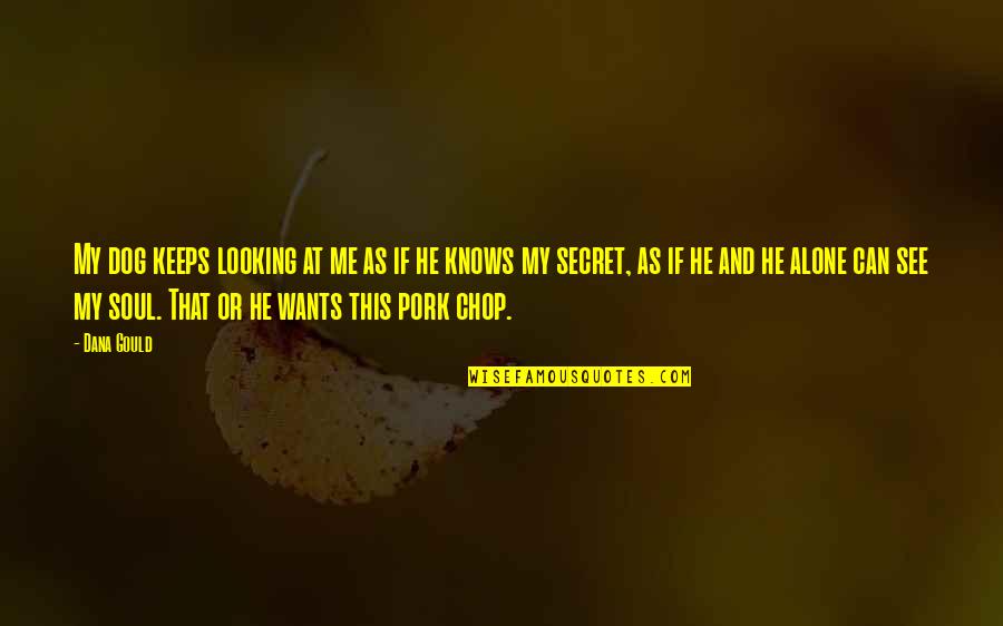 See My Dog Quotes By Dana Gould: My dog keeps looking at me as if