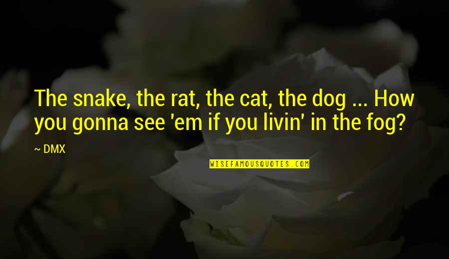 See My Dog Quotes By DMX: The snake, the rat, the cat, the dog
