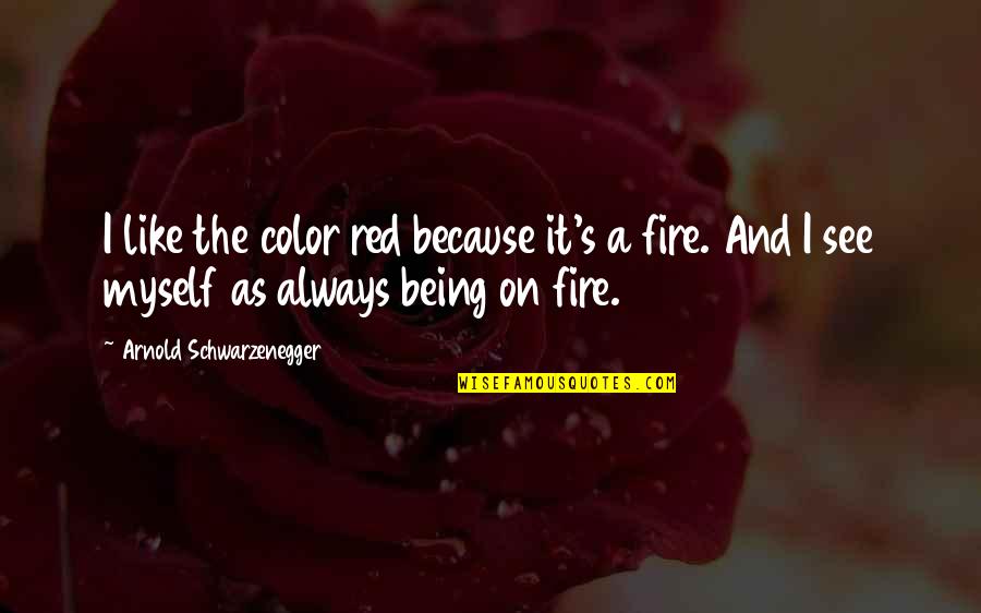 See Red Quotes By Arnold Schwarzenegger: I like the color red because it's a