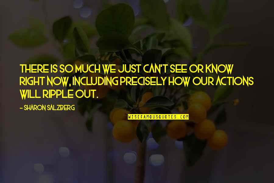 See Right Thru You Quotes By Sharon Salzberg: There is so much we just can't see