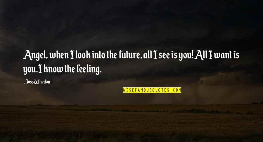 See The Future Quotes By Joss Whedon: Angel, when I look into the future, all