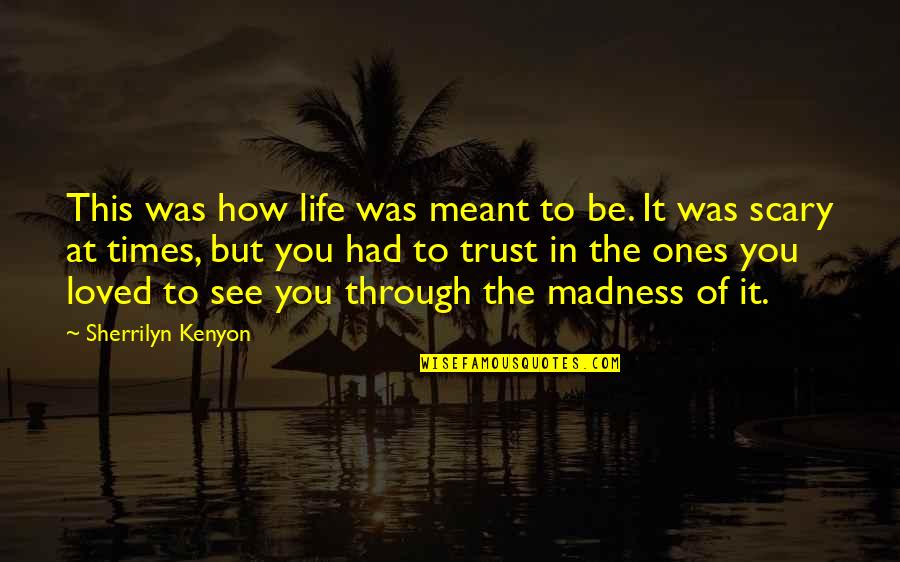 See Through You Quotes By Sherrilyn Kenyon: This was how life was meant to be.