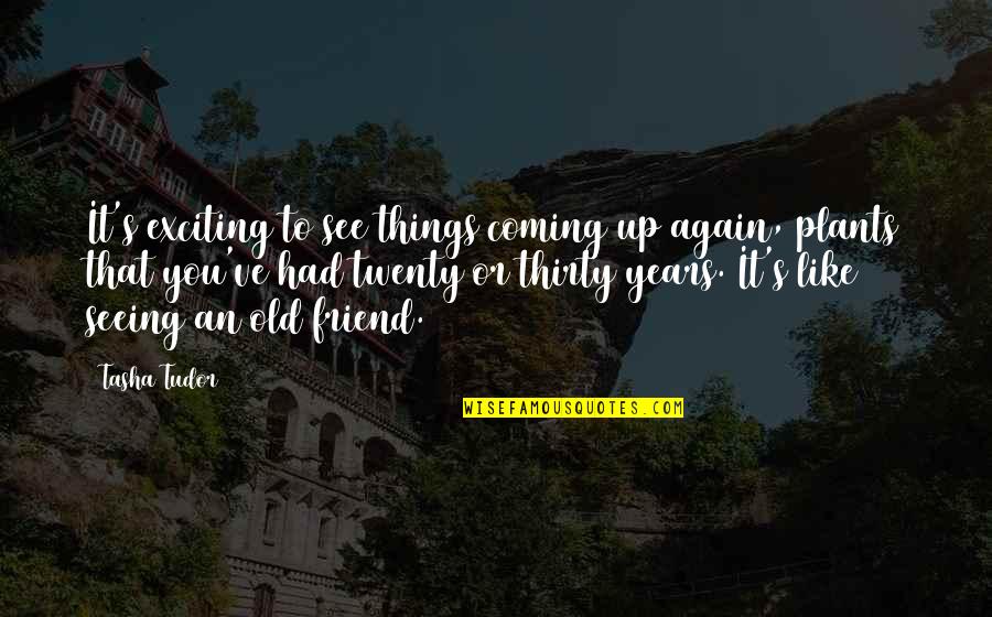 See You Again Friend Quotes By Tasha Tudor: It's exciting to see things coming up again,