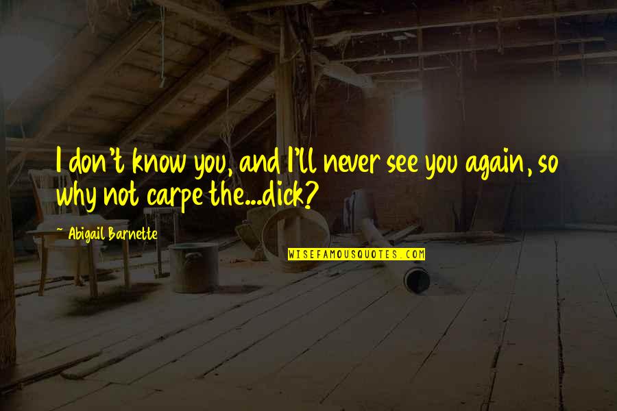 See You Again Quotes By Abigail Barnette: I don't know you, and I'll never see