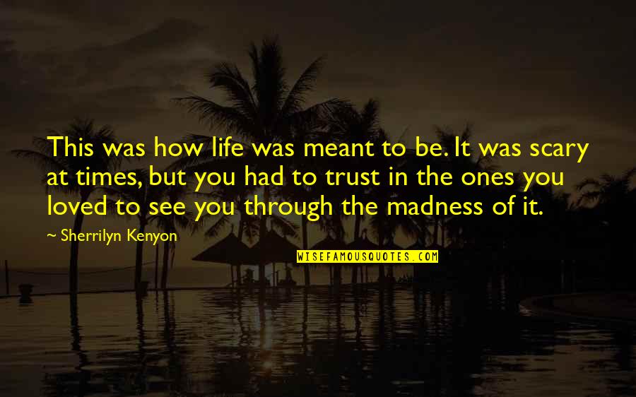 See You Through Quotes By Sherrilyn Kenyon: This was how life was meant to be.