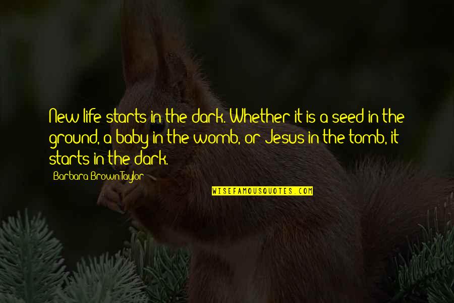 Seed Life Quotes By Barbara Brown Taylor: New life starts in the dark. Whether it